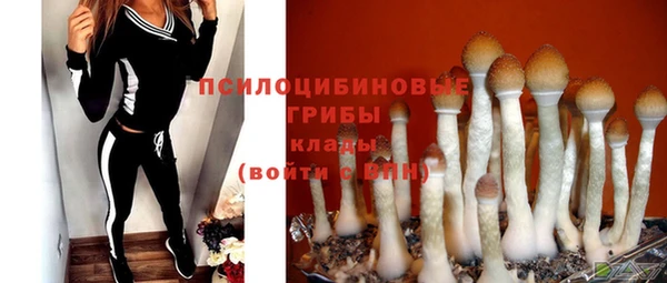 ALPHA PVP Пролетарск