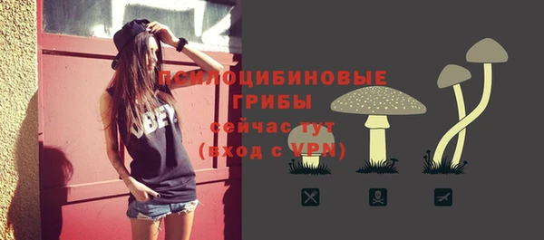 mdpv Приозерск
