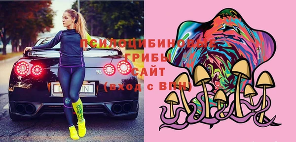 гашик Ростов