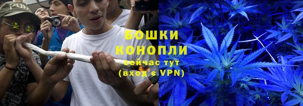 гидра Покровск