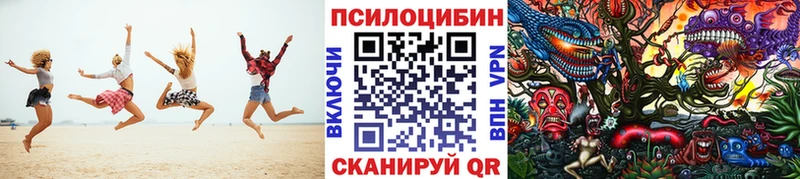 Купить где  Екатеринбург  Галлюциногенные грибы GOLDEN TEACHER 
